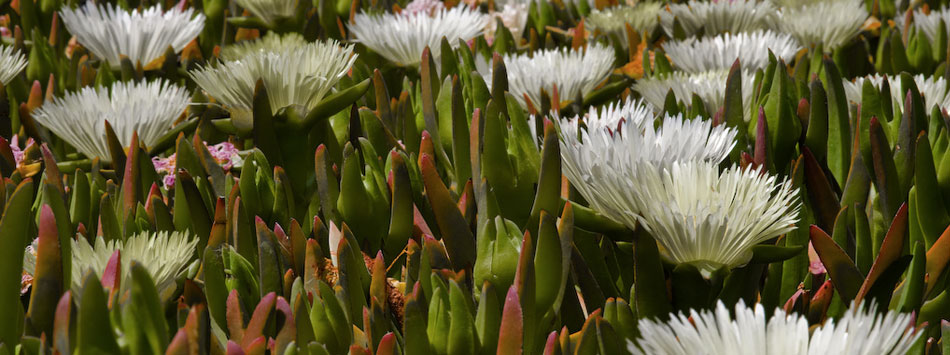 slideshow 3