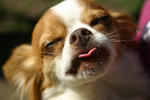 Chuey-0074