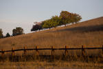 Palo Alto-4671
