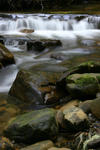 Big Basin-4