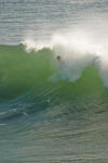 Surfer - 7667