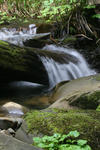 Big Basin 