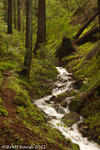 Boulder Creek Waterfall